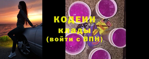 молекула духа Михайловск