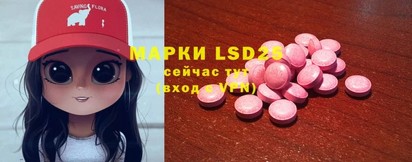 молекула духа Михайловск